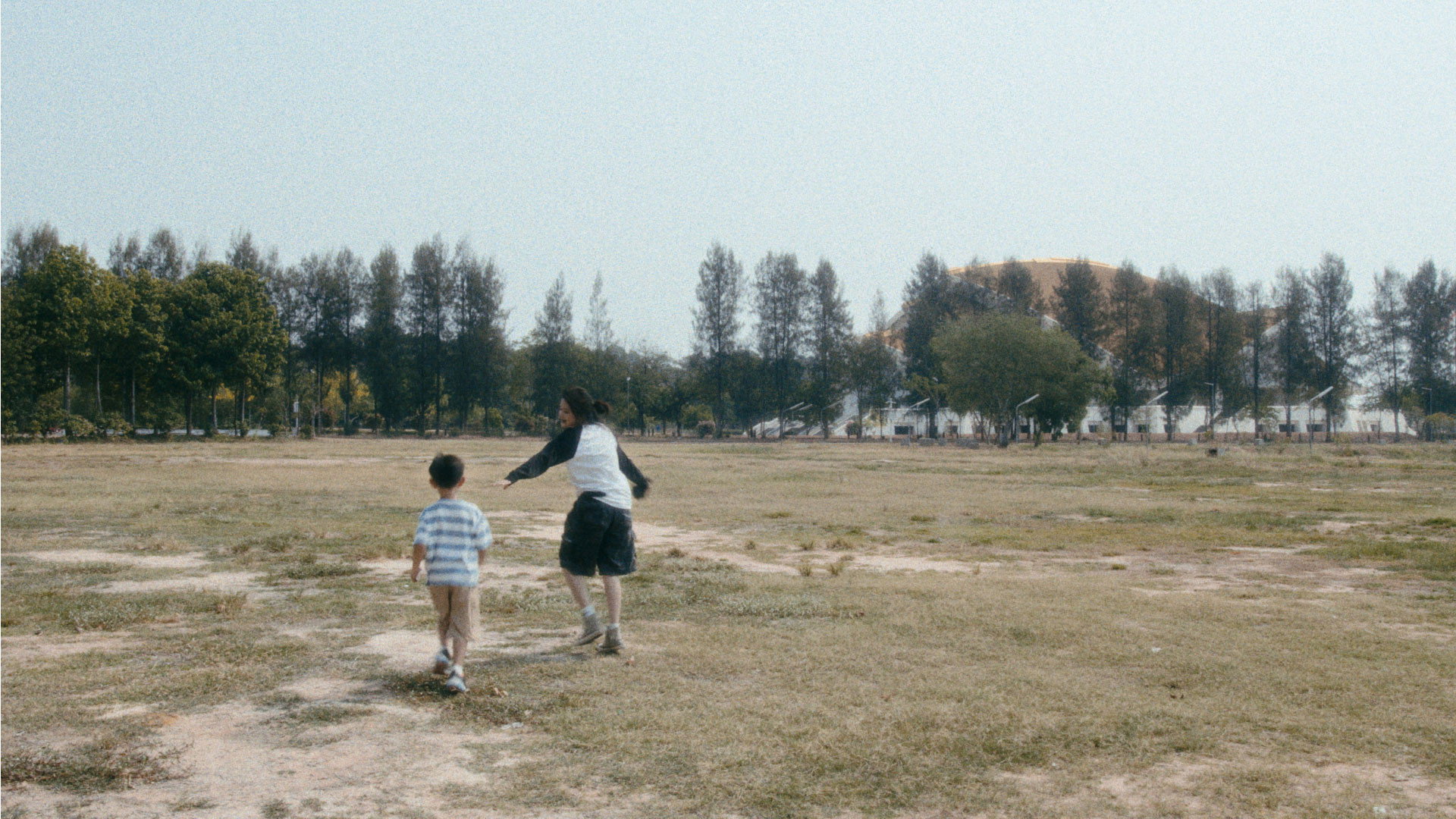 Director