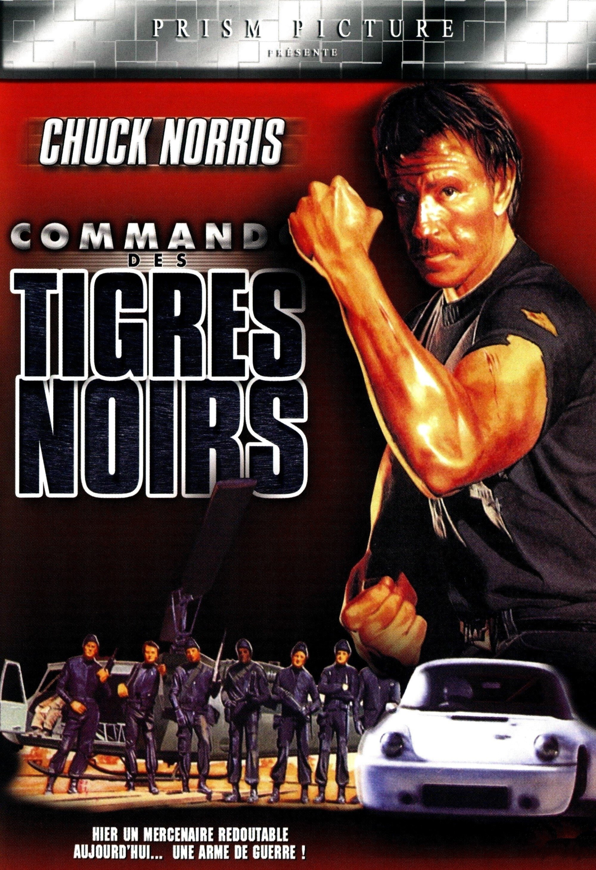 Affiche du film Le commando des Tigres Noirs