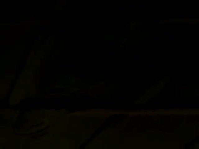 PHASE 16: Birds Without Wings