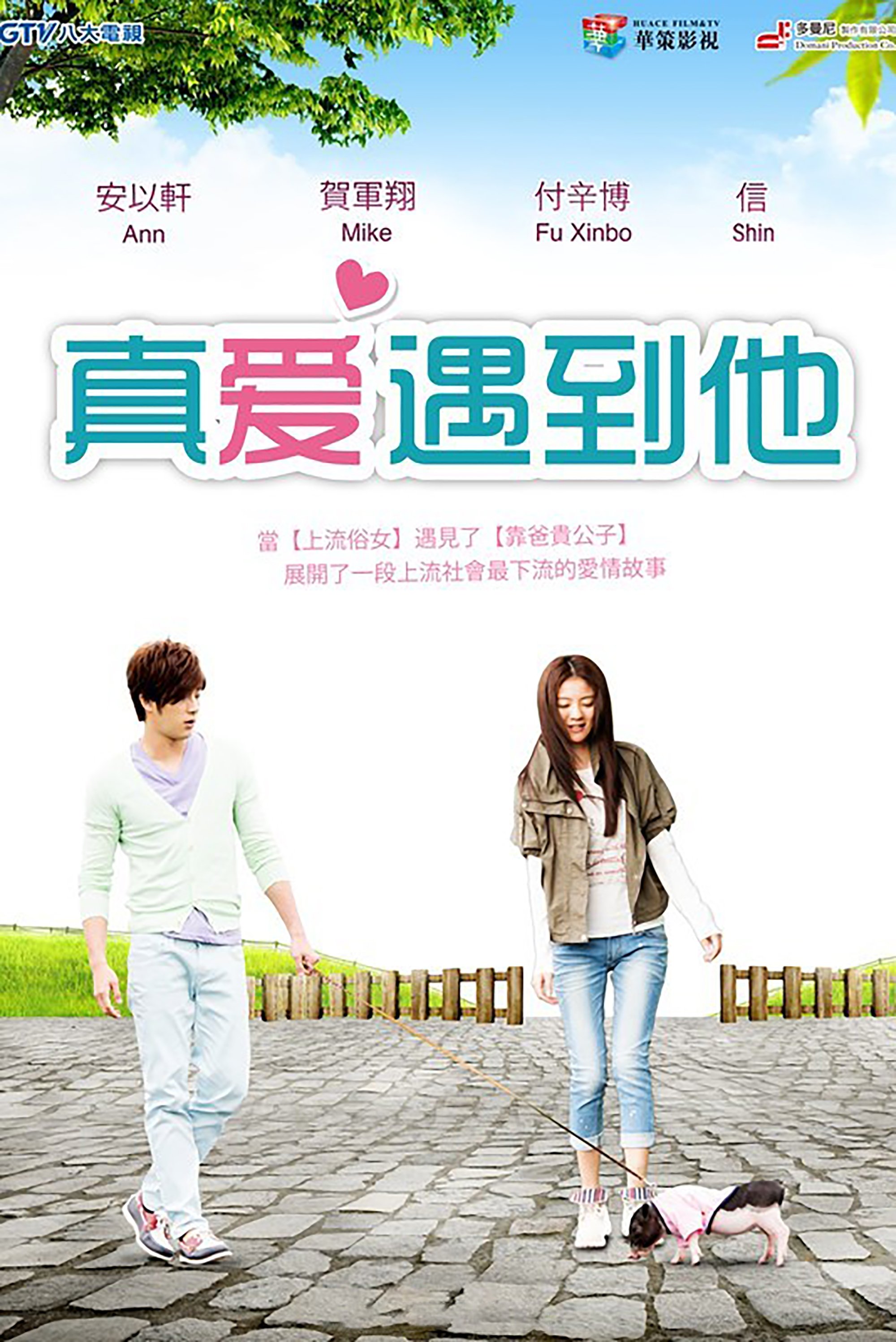 Poster de 上流俗女