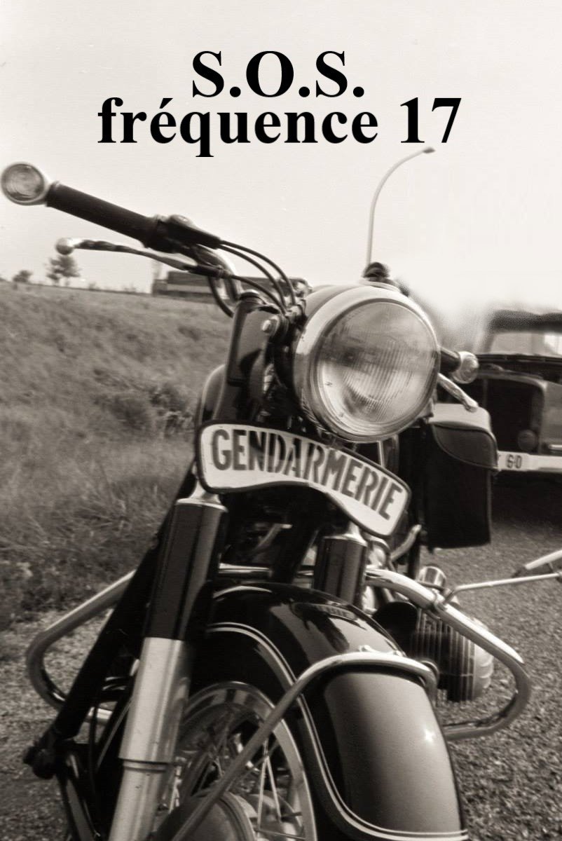 Poster for S.O.S. fréquence 17