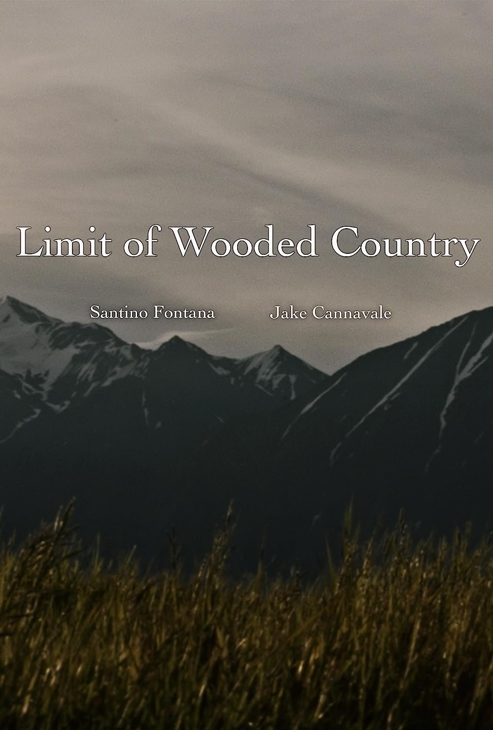 Affiche du film Limit of Wooded Country