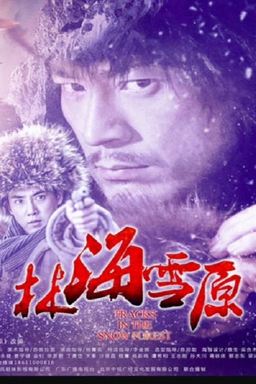 Poster de 林海雪原