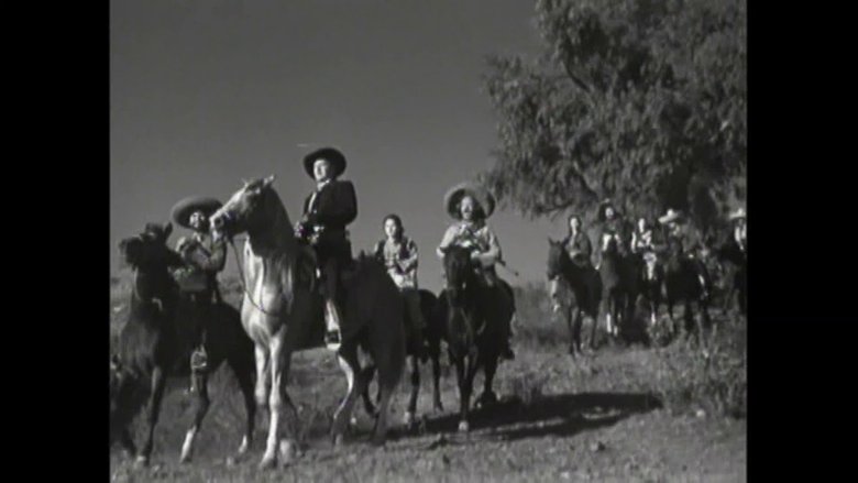 Los Gavilanes