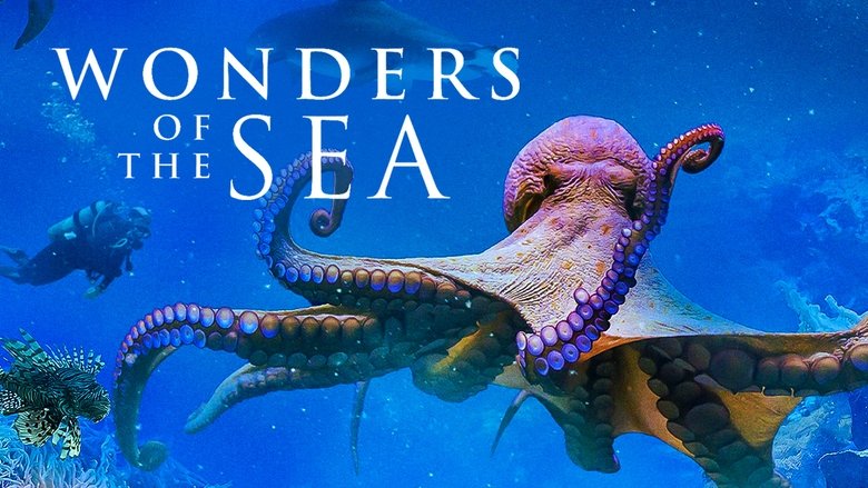 Wonders of the Sea 3D