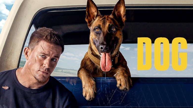 Dog - Un viaje salvaje