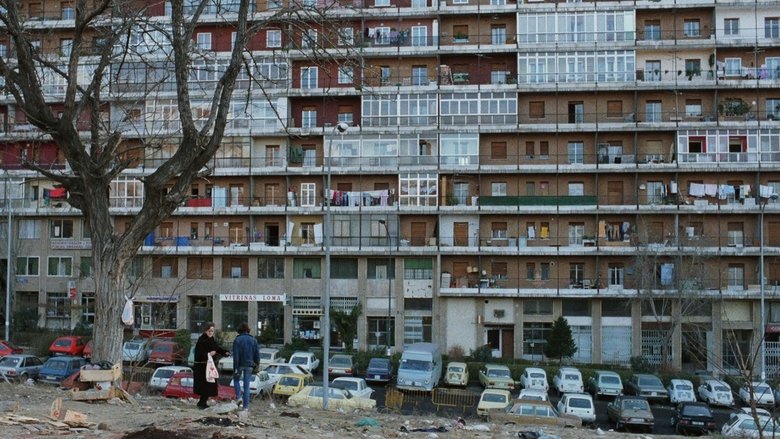 რით დავიმსახურე ეს?