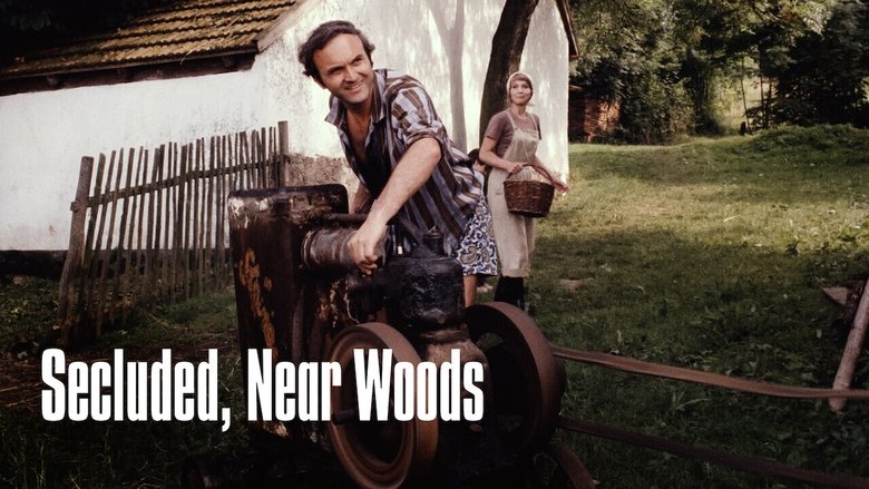 Na samotě u lesa