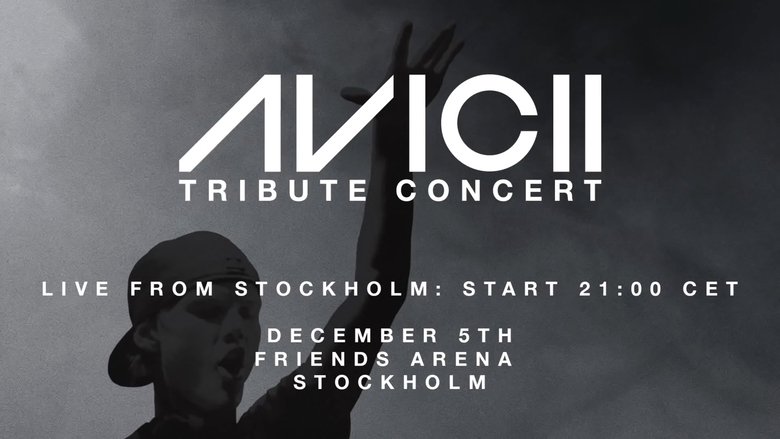 Avicii 致敬音乐会：纪念蒂姆·伯格林