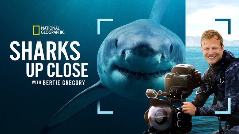 Sharks Up Close with Bertie Gregory