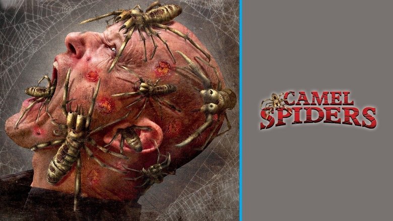 Camel Spiders