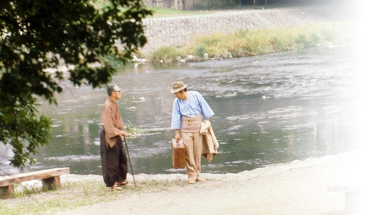 寅次郎的故事29：紫阳花之恋