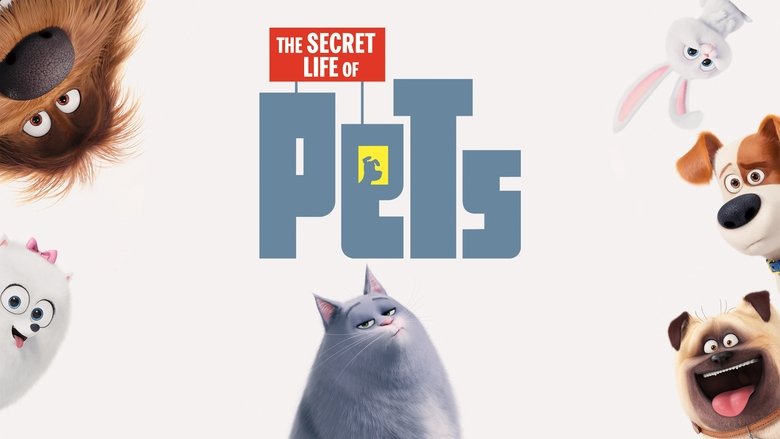 Pets