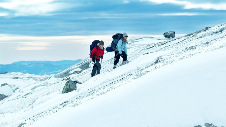 Fjellet