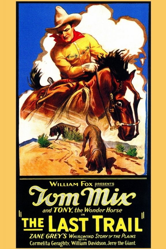 Poster de The Last Trail