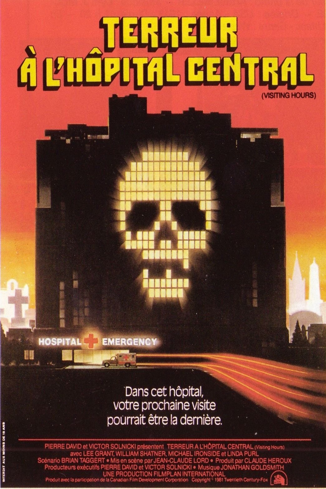 Affiche du film Visiting Hours