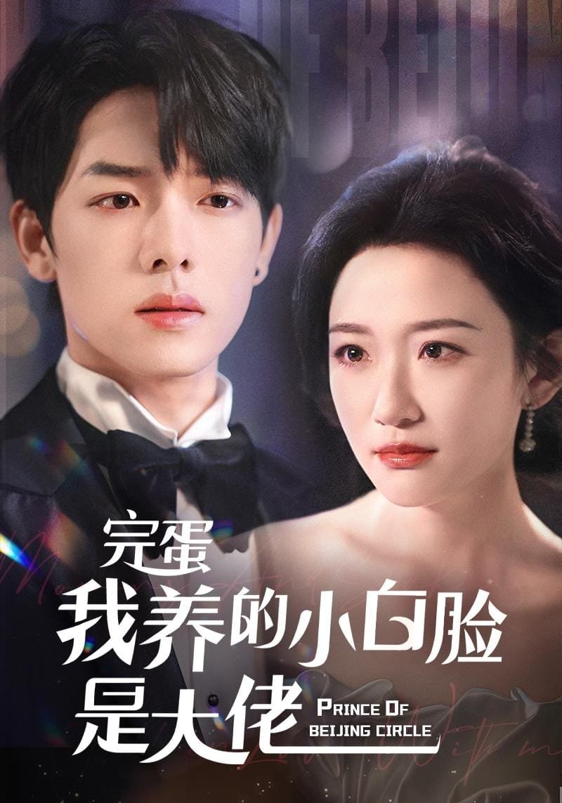 Poster de 完蛋我养的小白脸是大佬