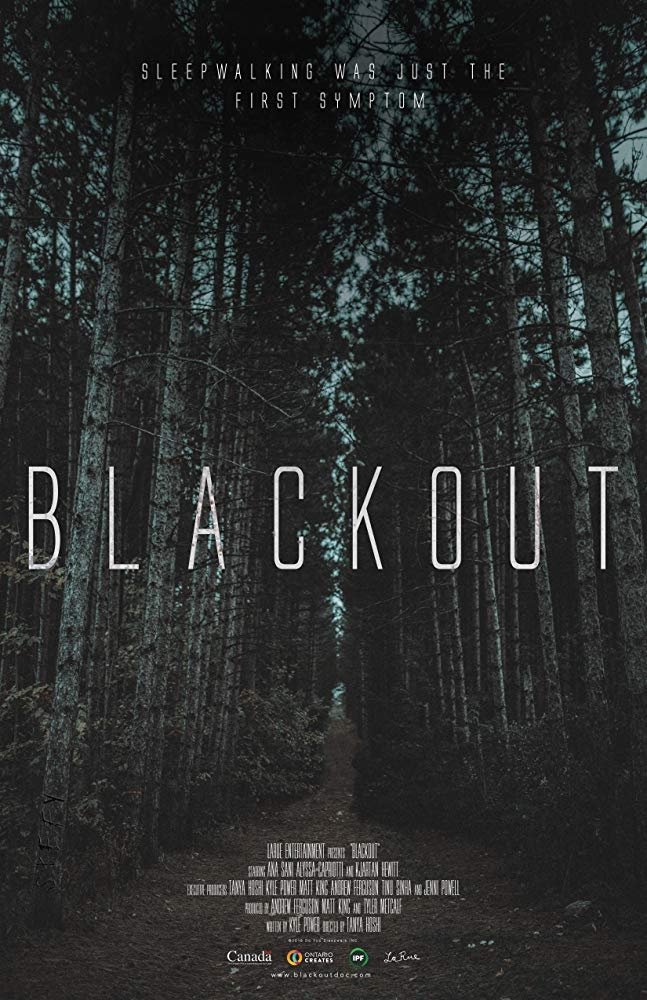 Poster de Blackout