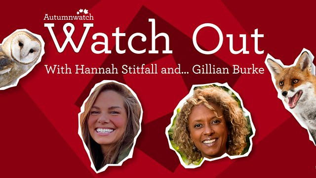 Watch Out with Hannah Stitfall and Gillian Burke