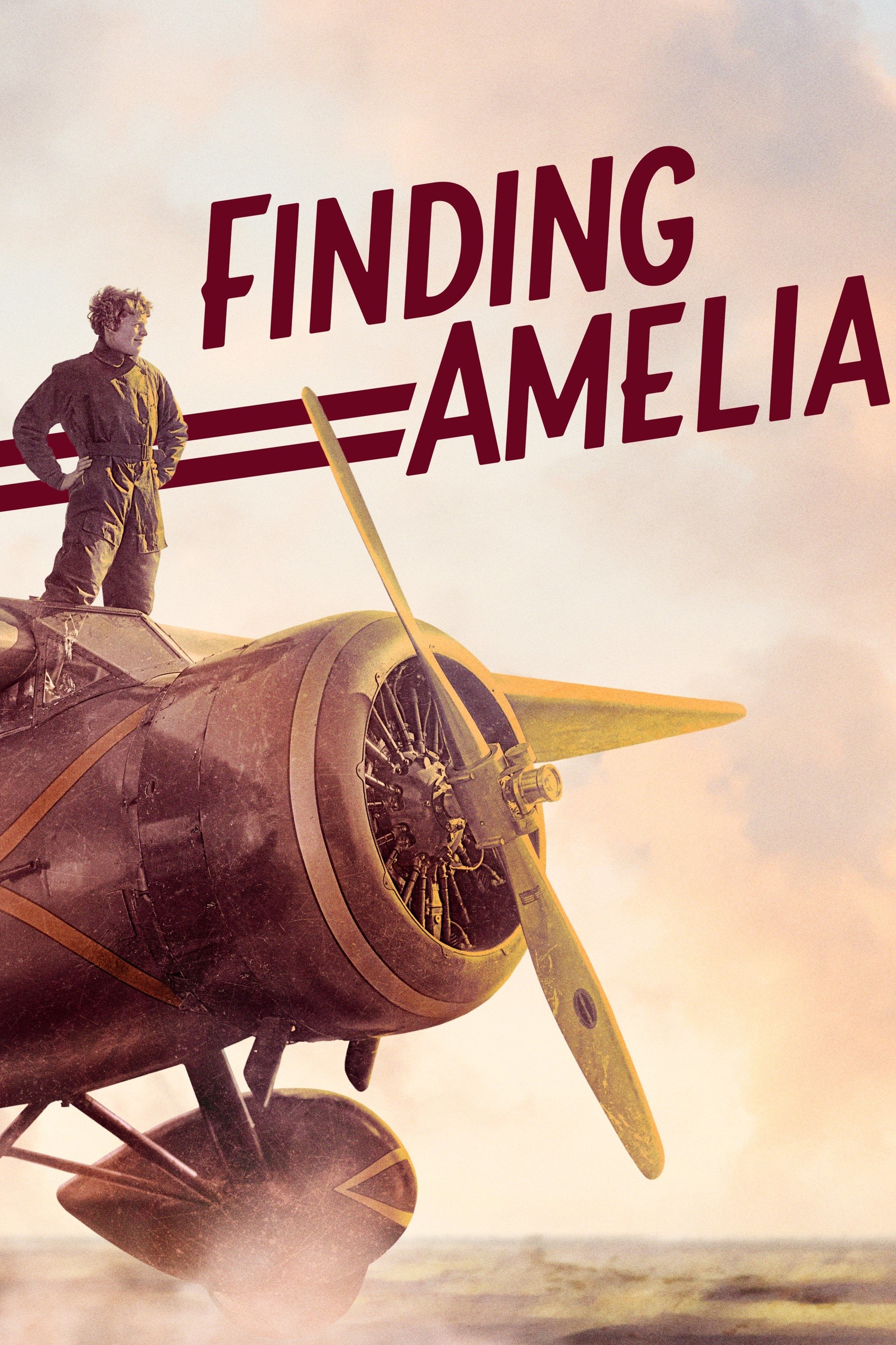 Poster de Finding Amelia