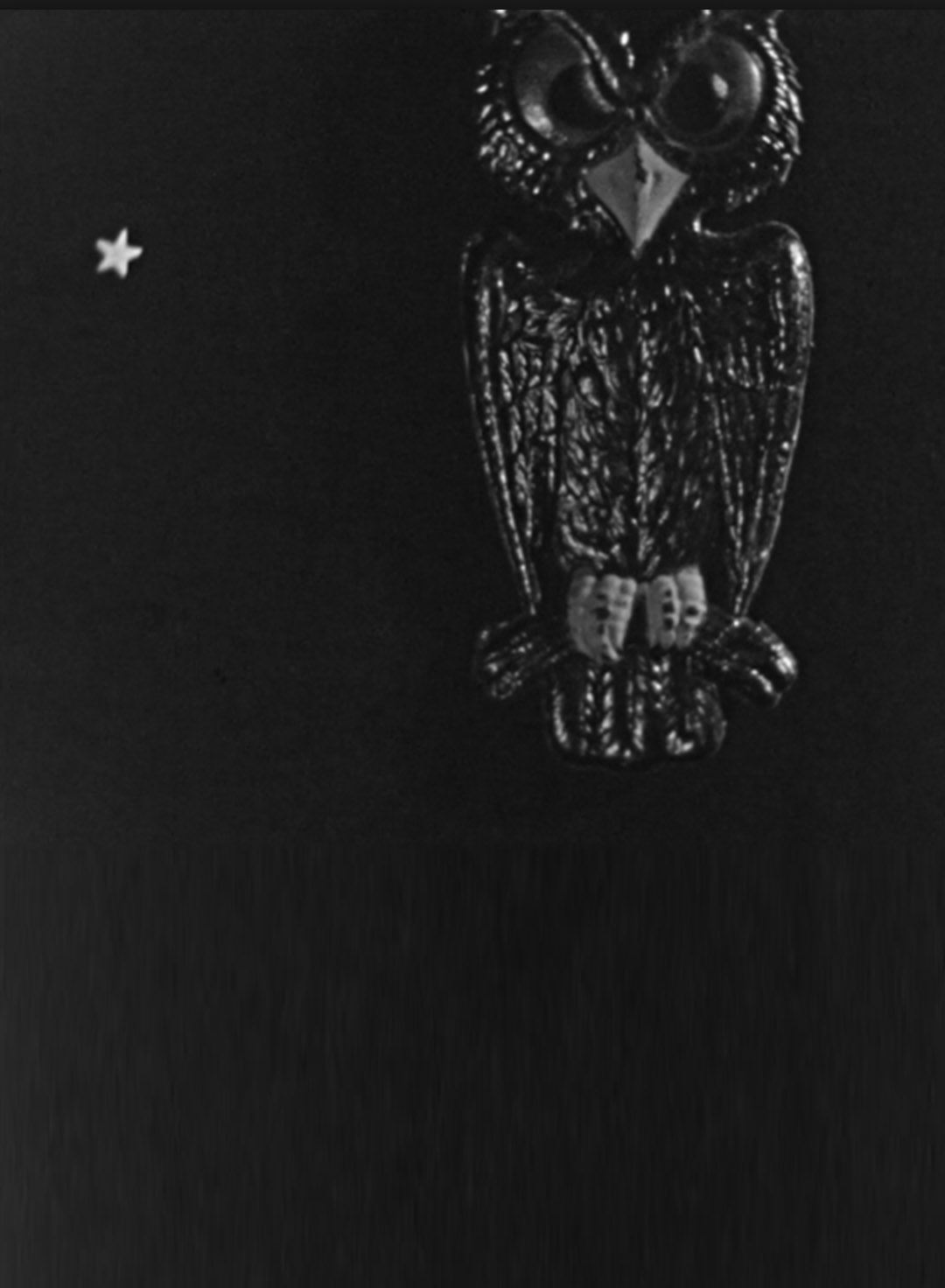 Poster de The Spider and the Fly