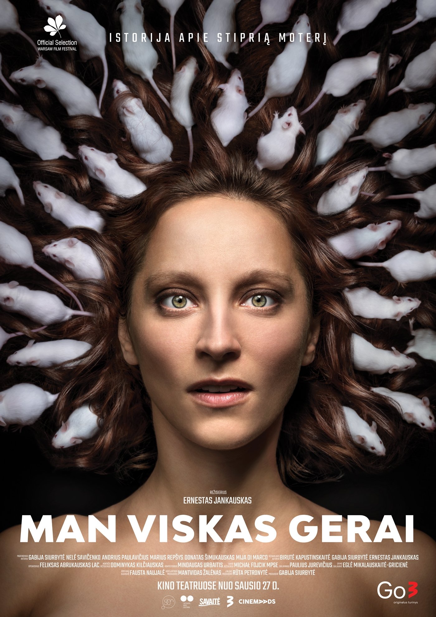 Poster de Man viskas gerai