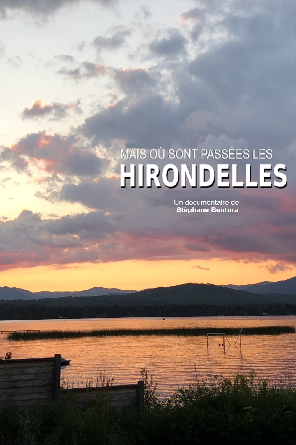 Poster de Où sont passées les hirondelles ?