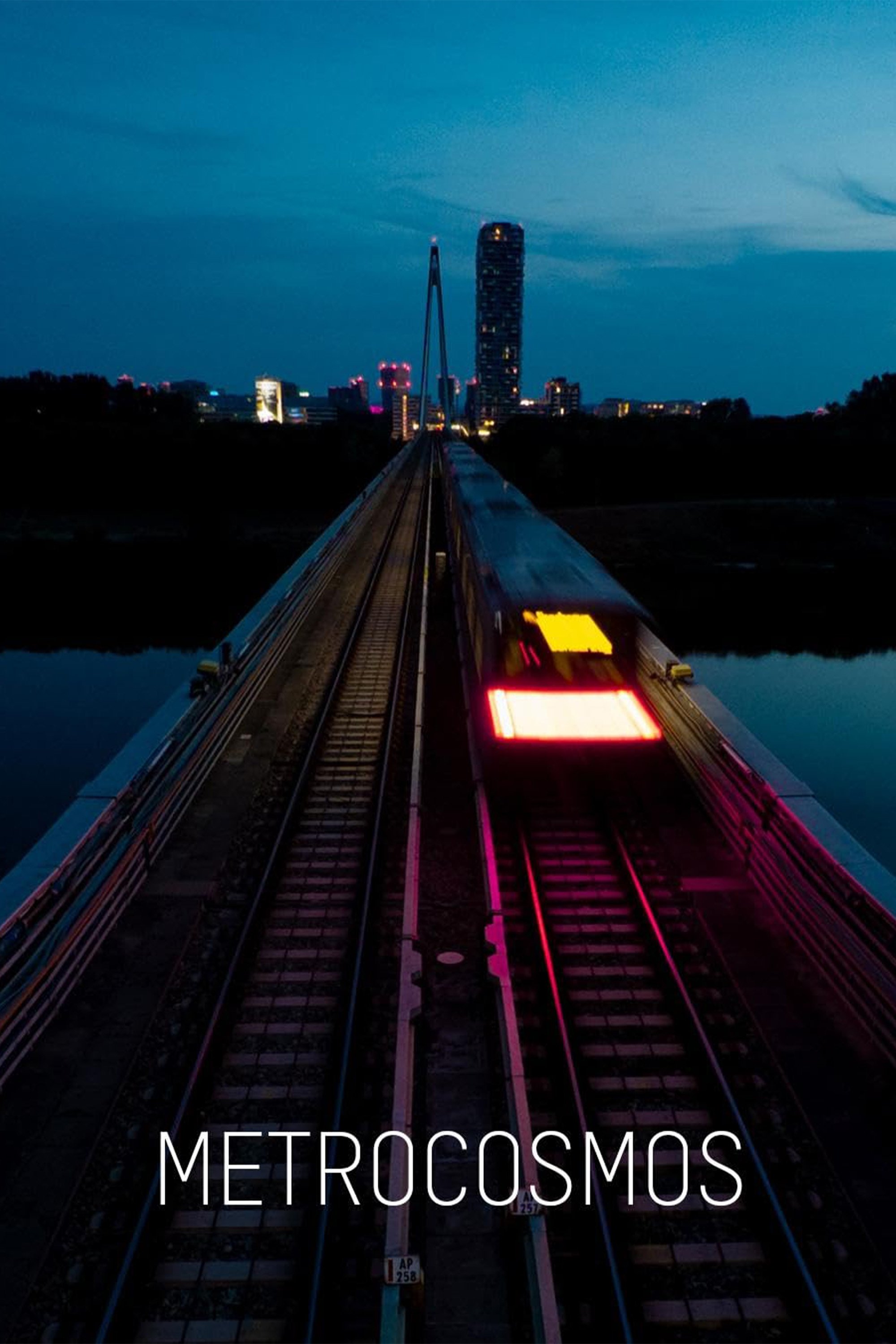 Poster de Metrokosmos