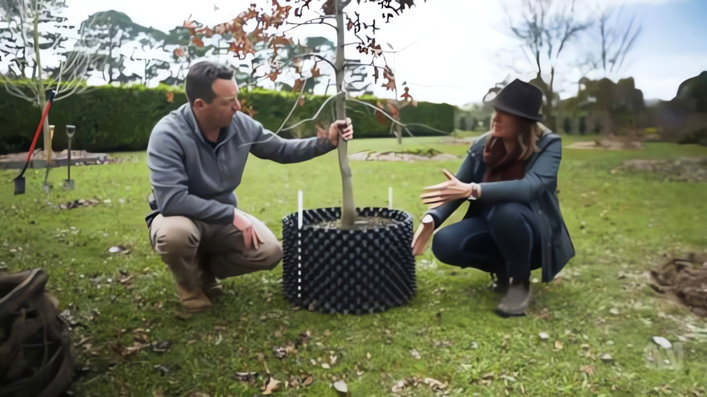 Episode 18 Planting Trees, Native Climbers & Kiwi Prune