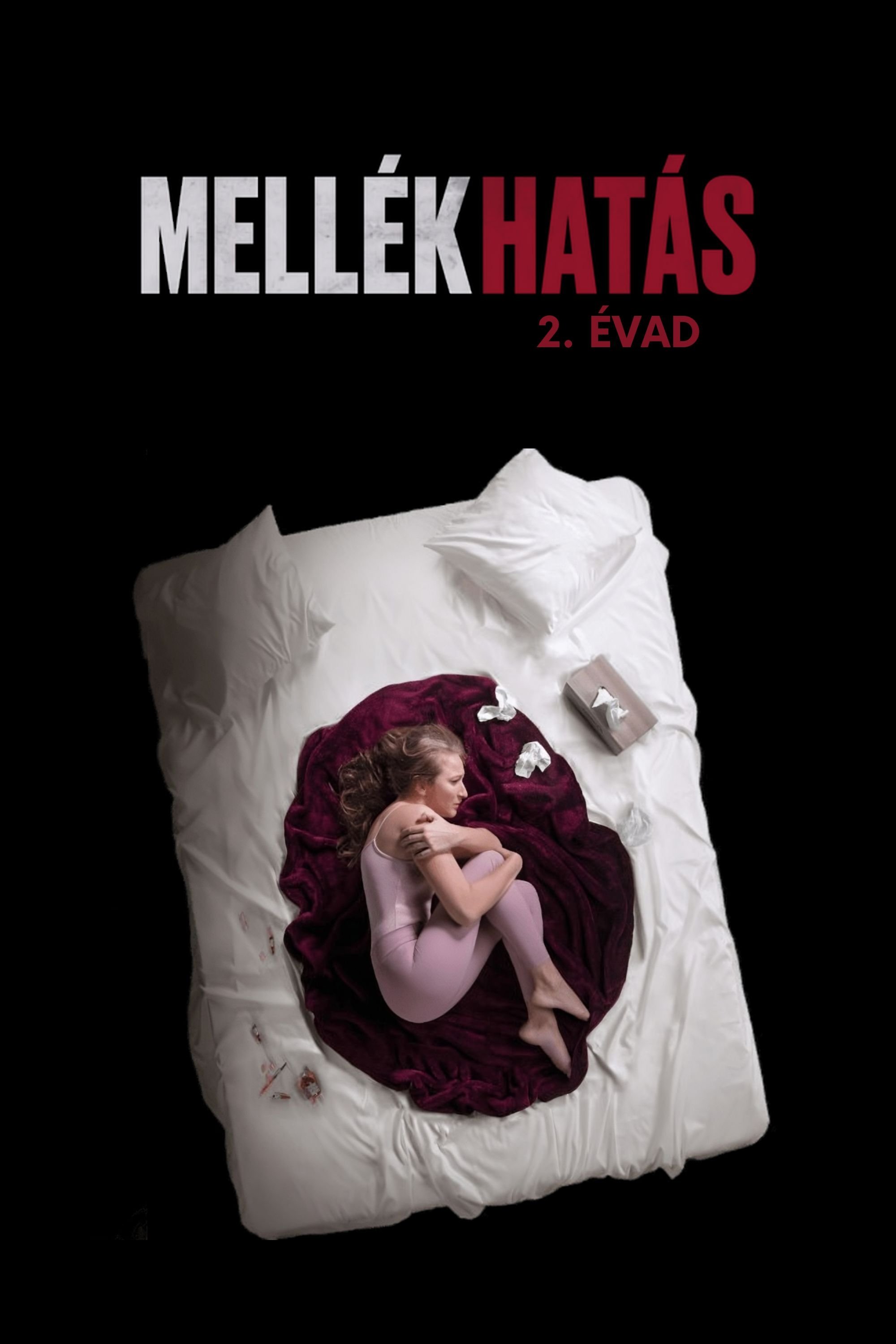 Poster de Temporada 2