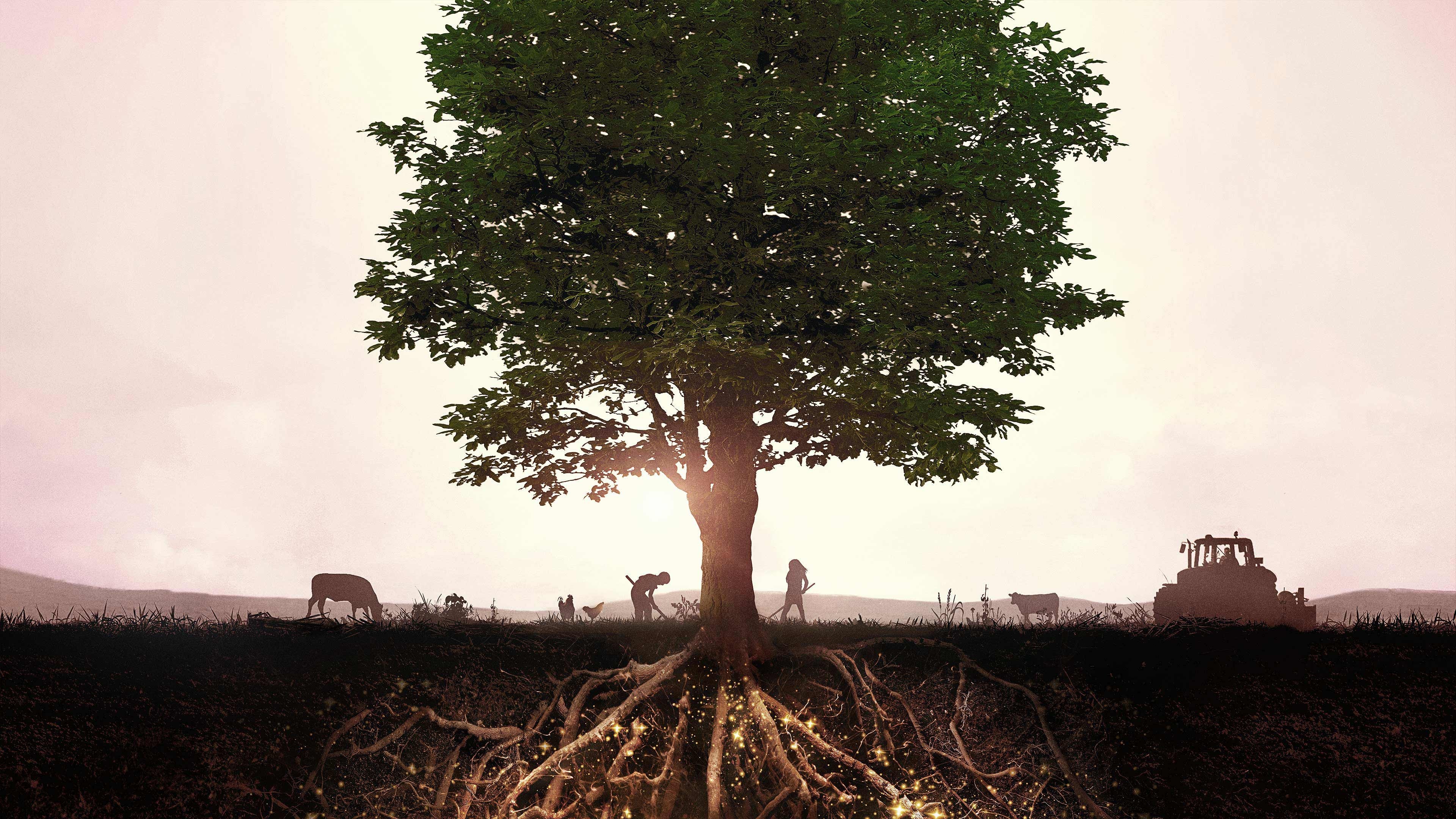 Backdrop image