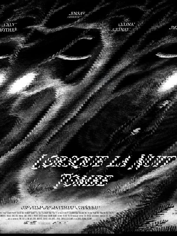 Poster de Lorsque la Nuit Tombe
