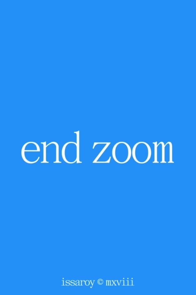 Poster de End Zoom