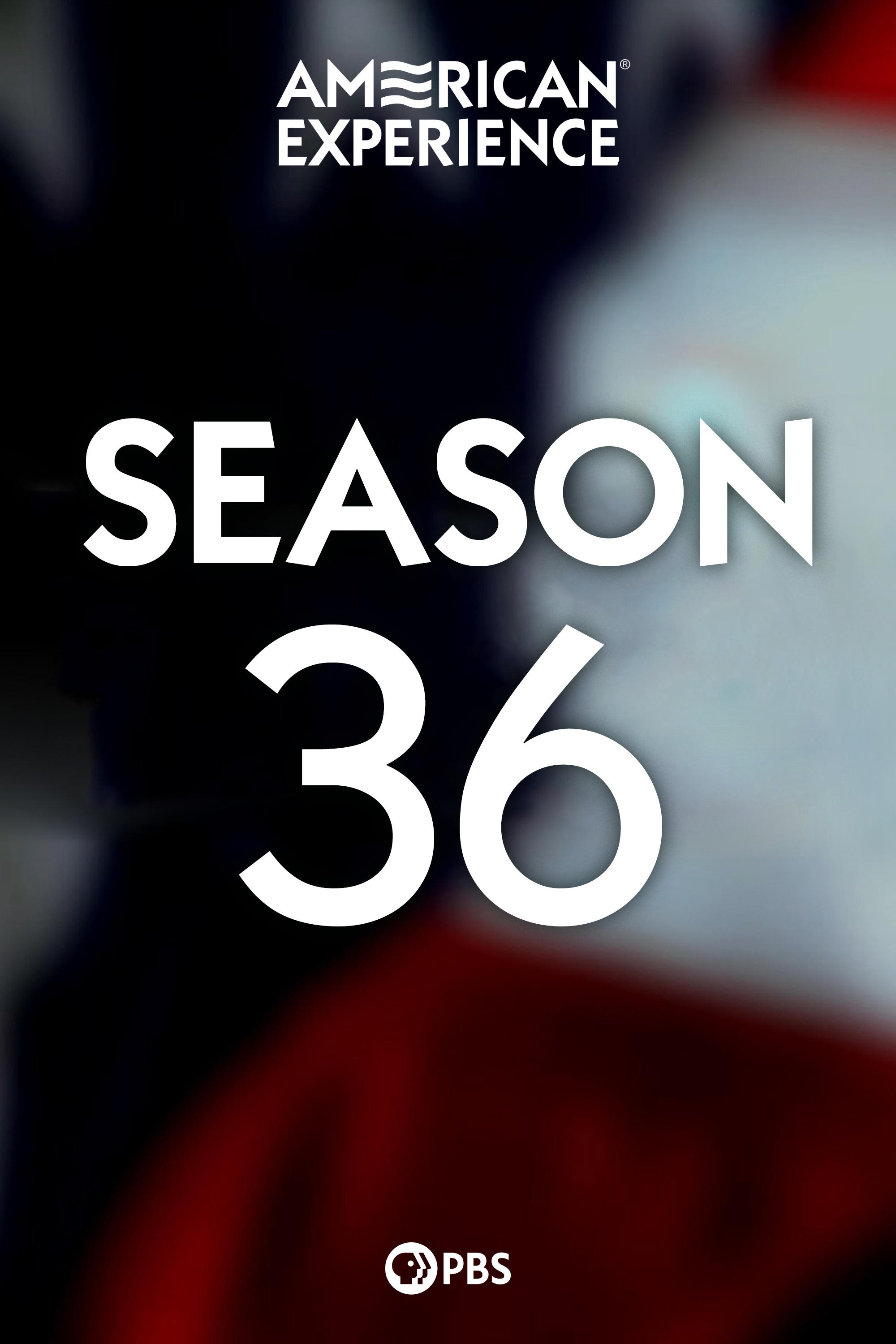 Poster de Temporada 36