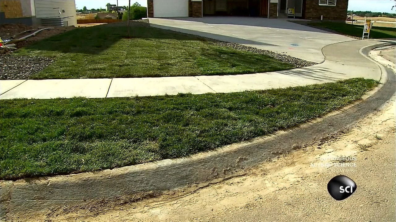 Top 5: Thanksgiving Essentials