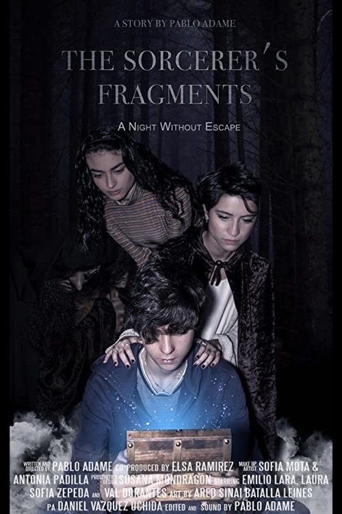 Poster de The Sorcerer's Fragments