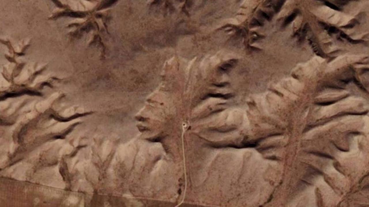 The Badlands Guardian