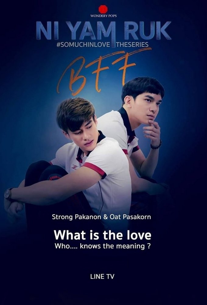 Poster de So Much In Love