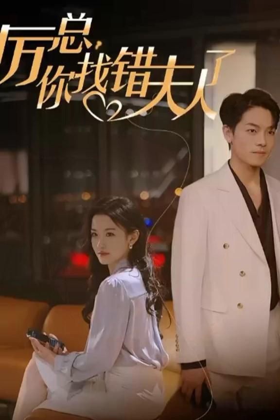Poster de 厉总,你找错夫人了