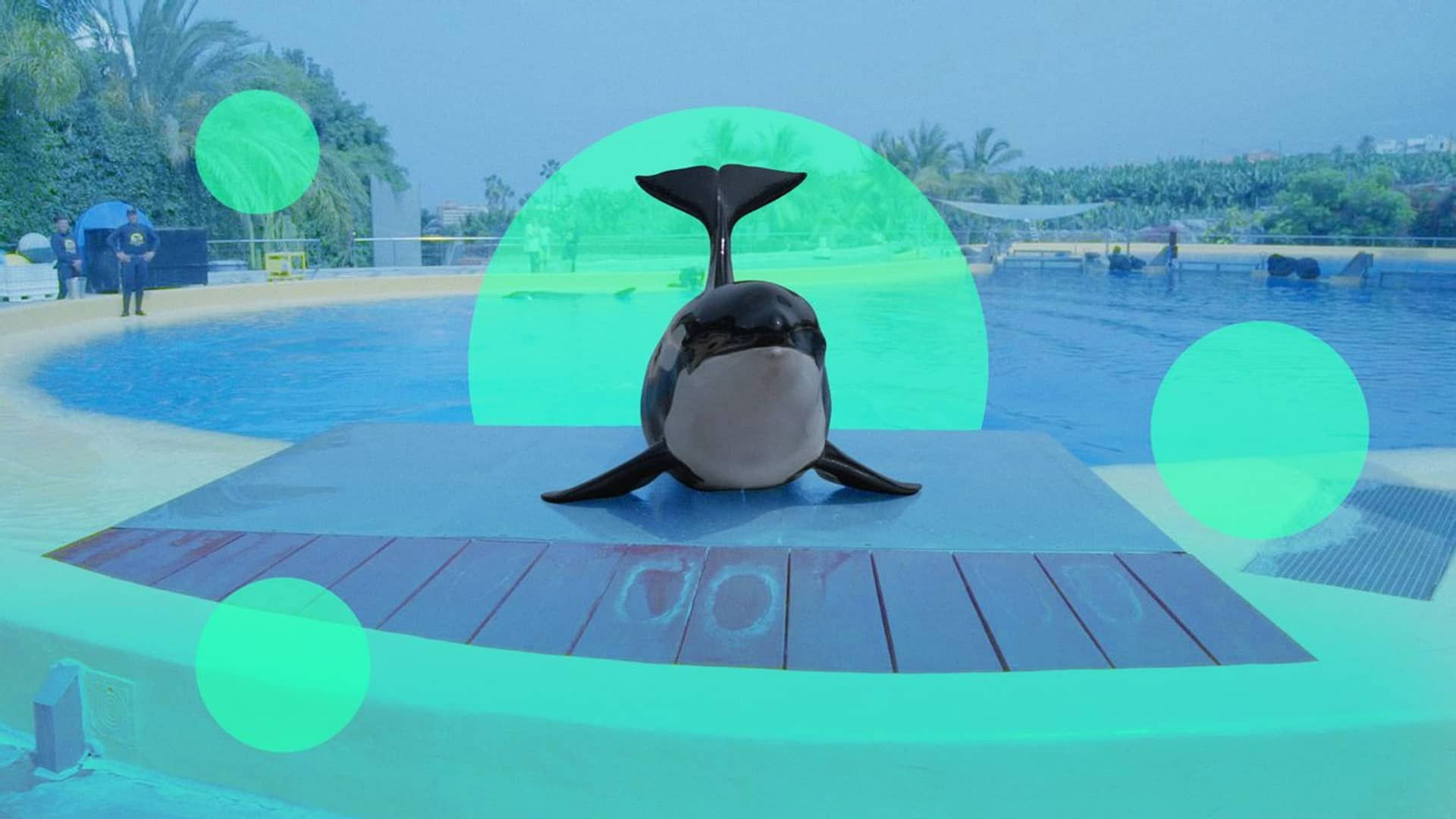 Morgan, de verloren orka (1/2)