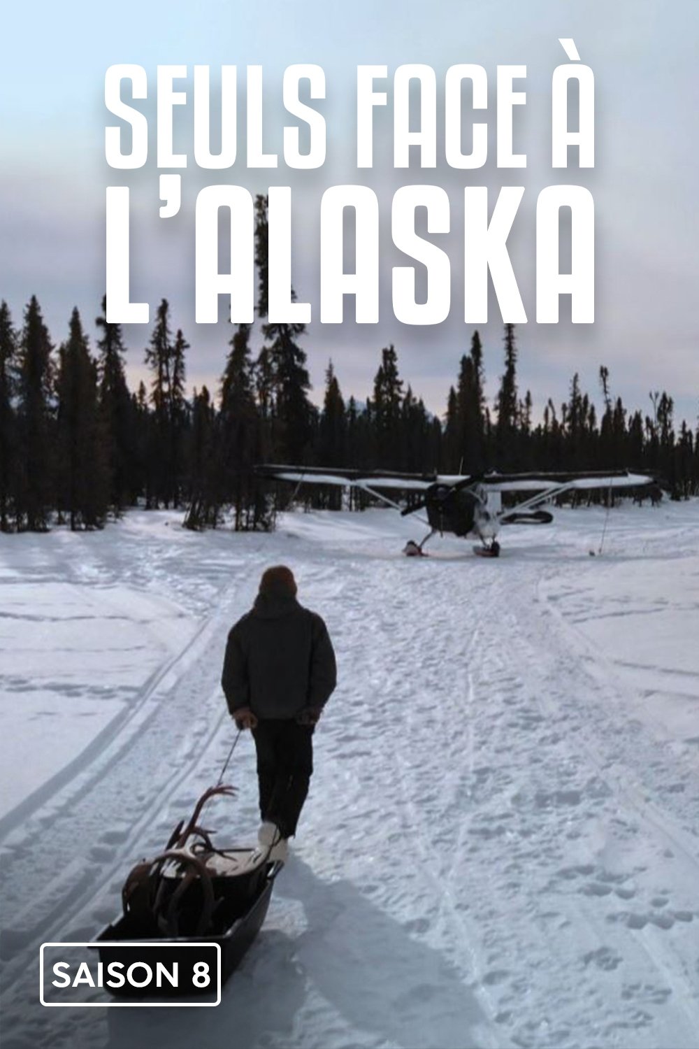 Poster de Temporada 8