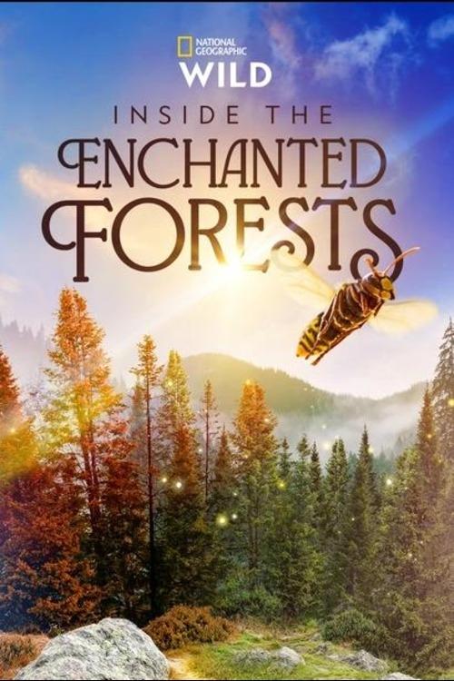 Poster de Inside the Enchanted Forests