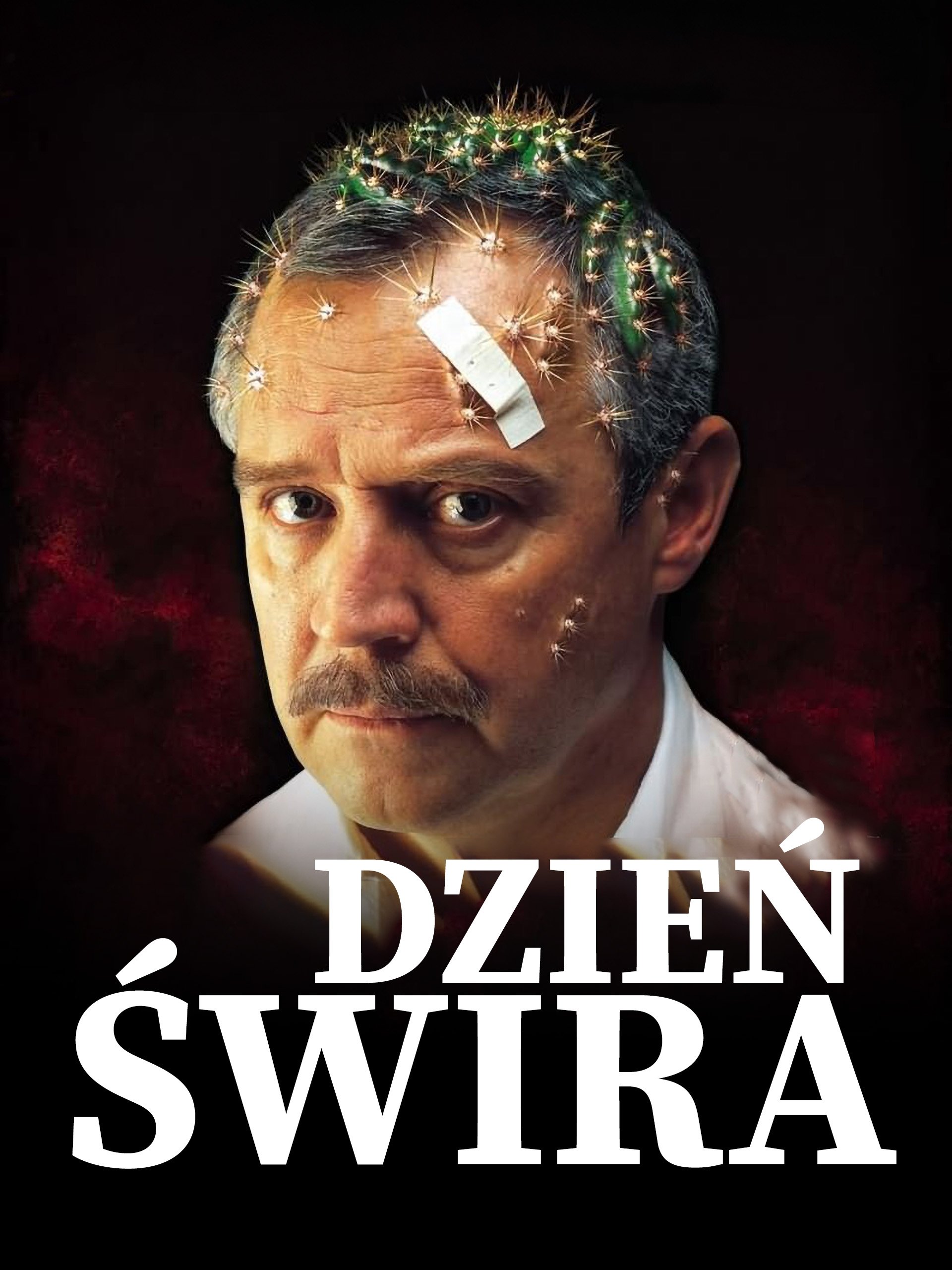Poster de Day of the Wacko