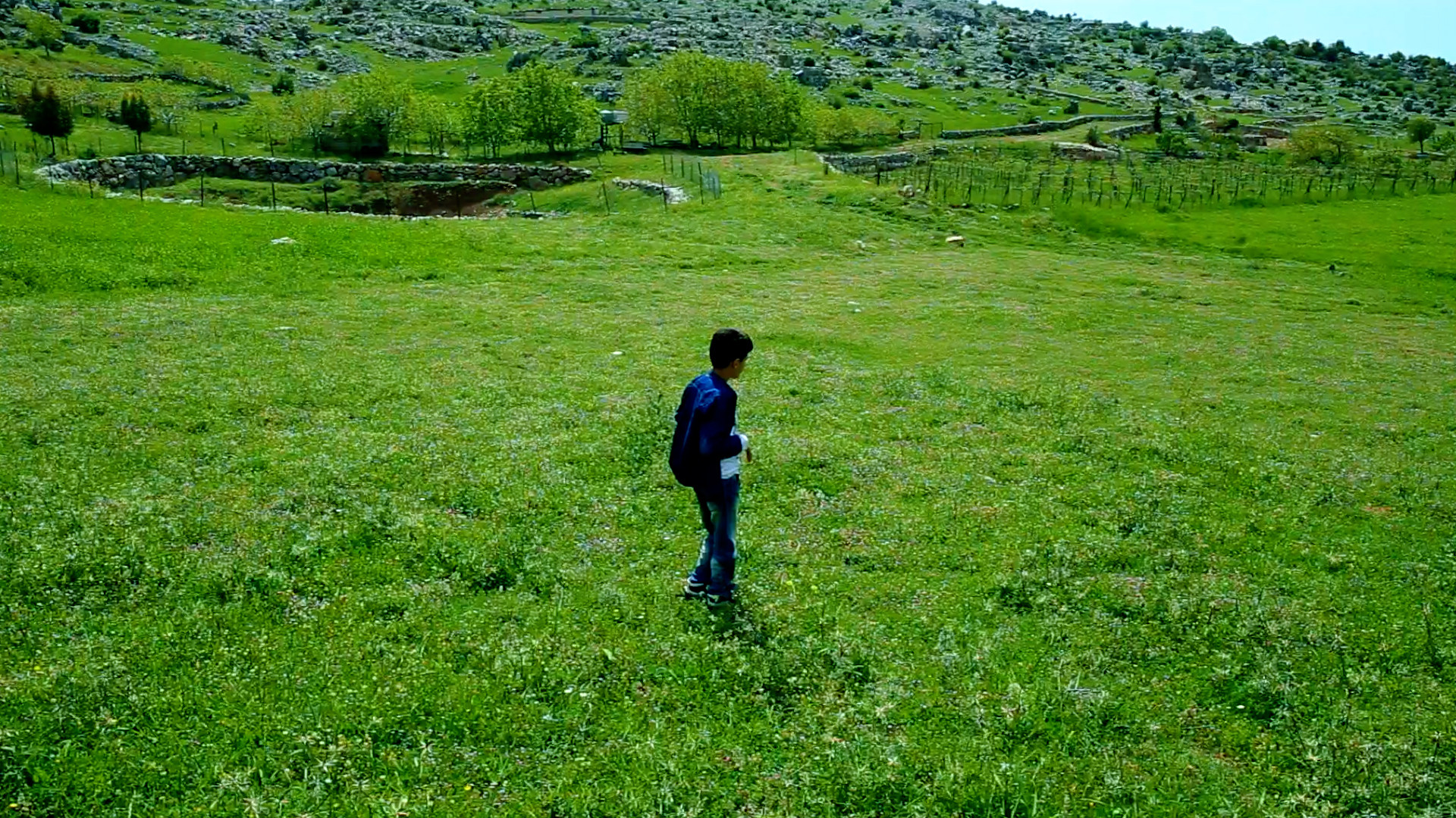 Director