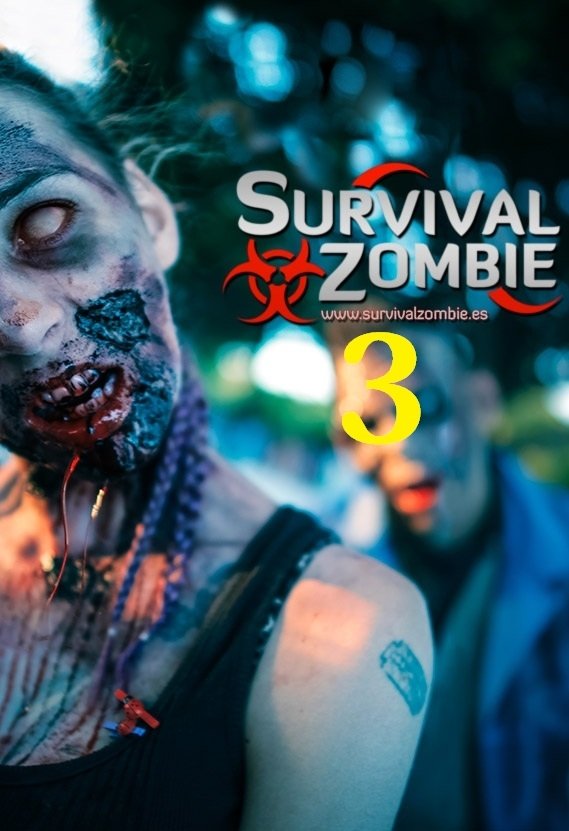 Poster de Survival Zombie 3