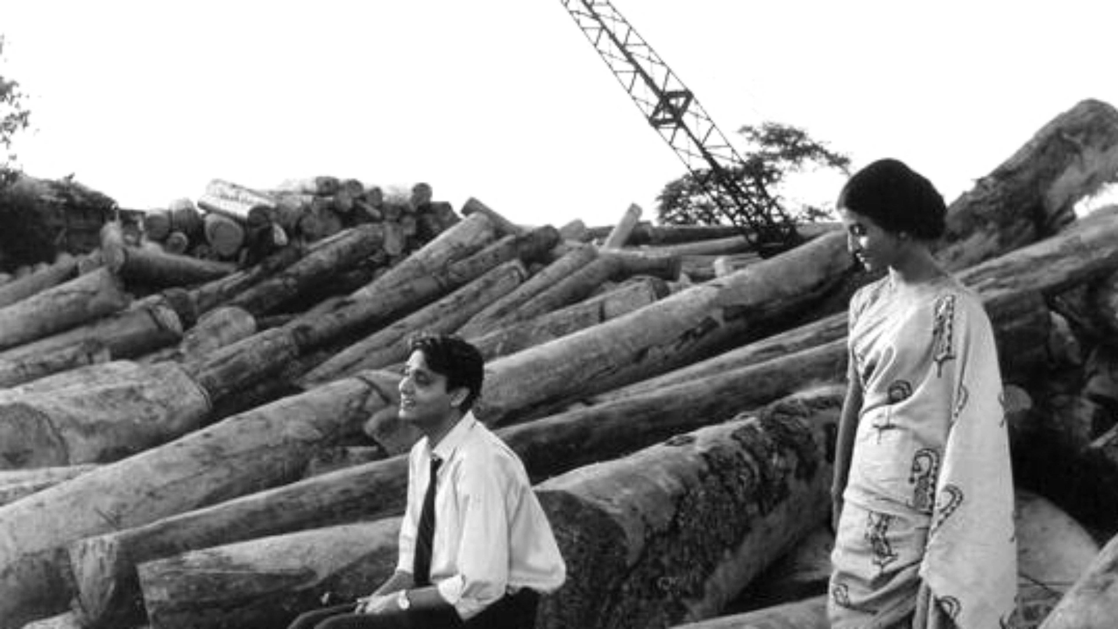 Director