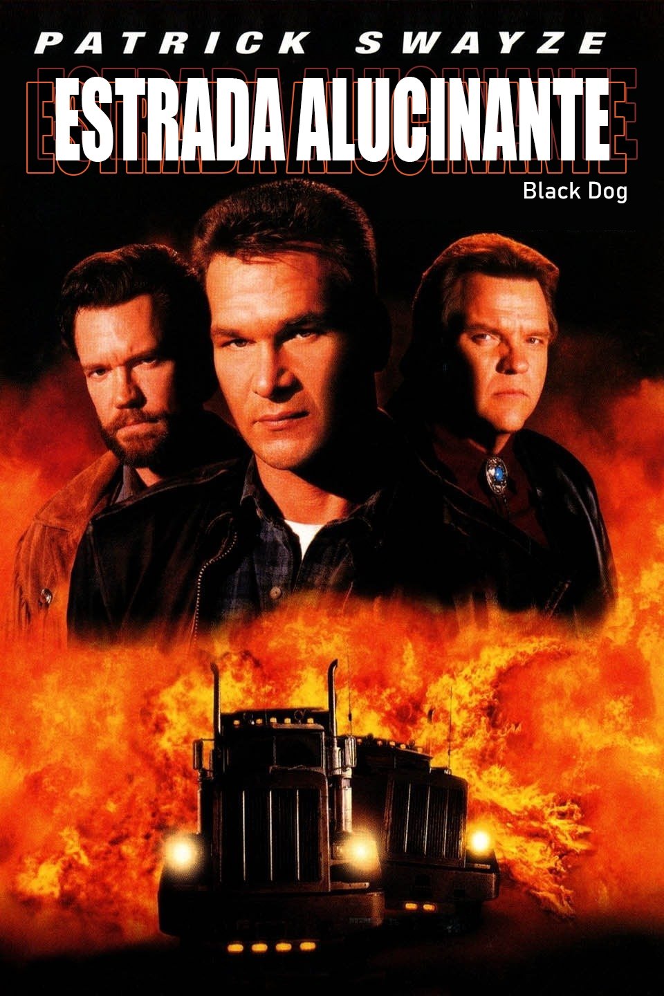 Poster de Estrada Alucinante