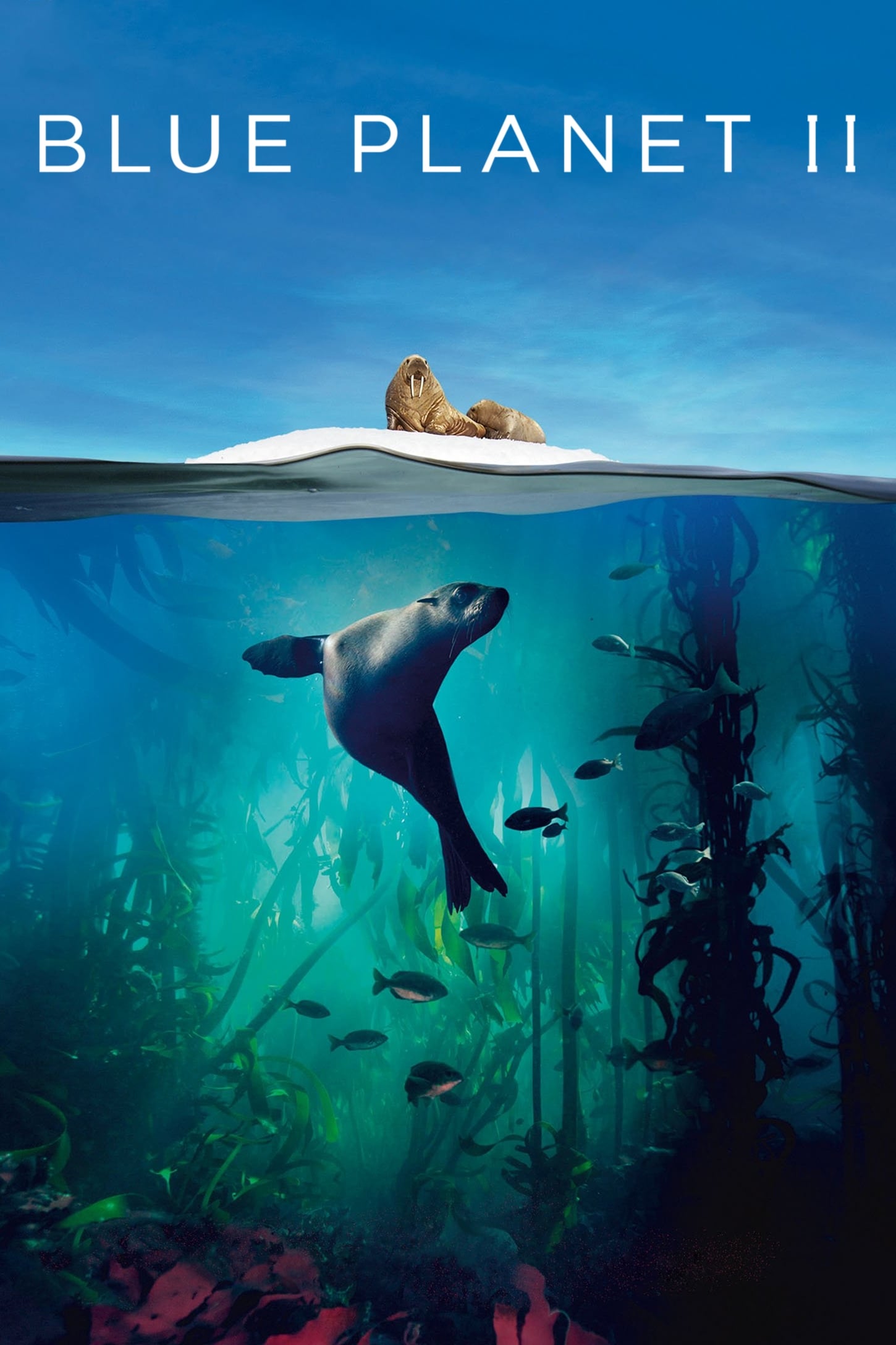 Poster de Planeta Azul II