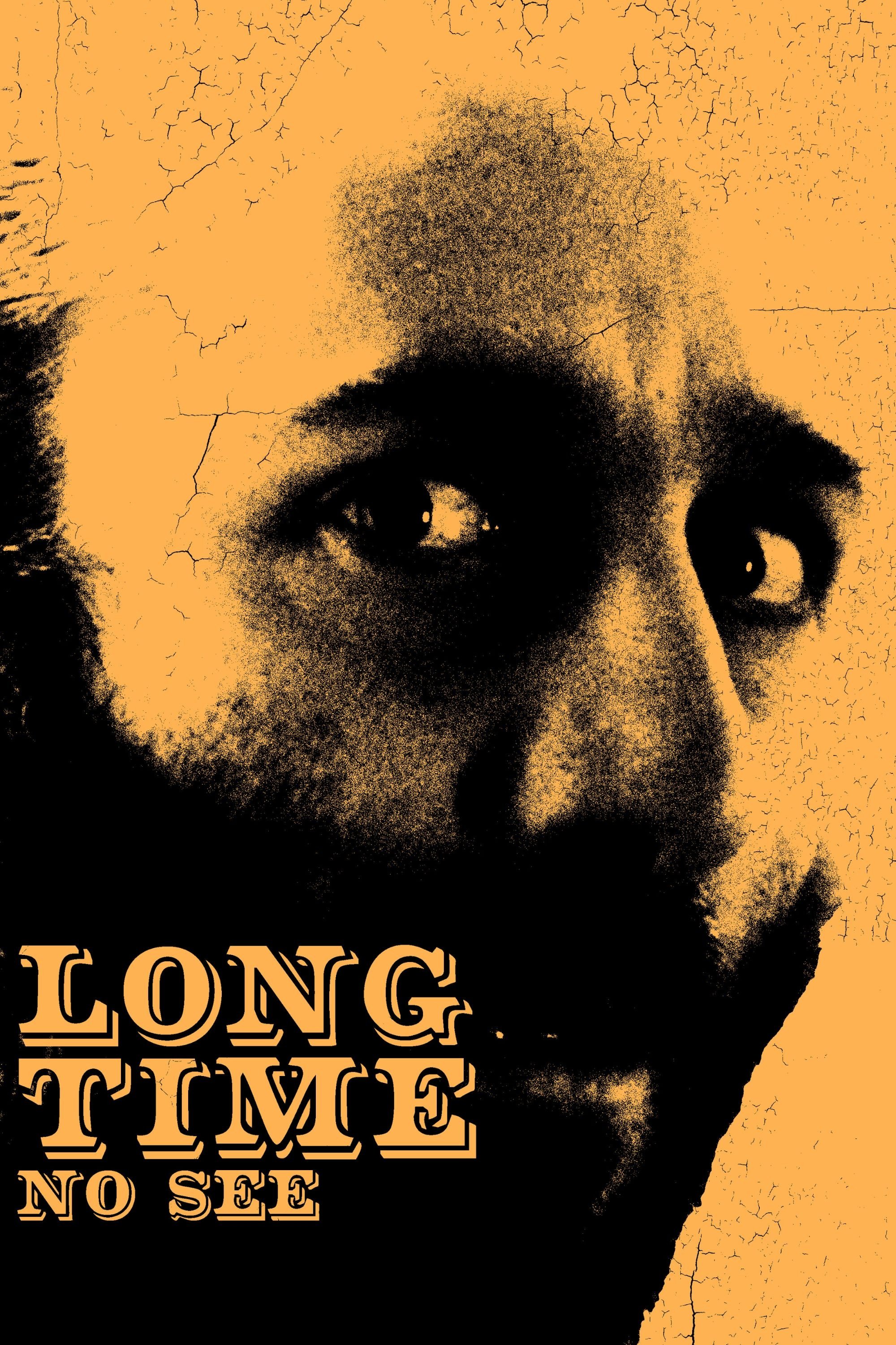 Poster de Long Time No See