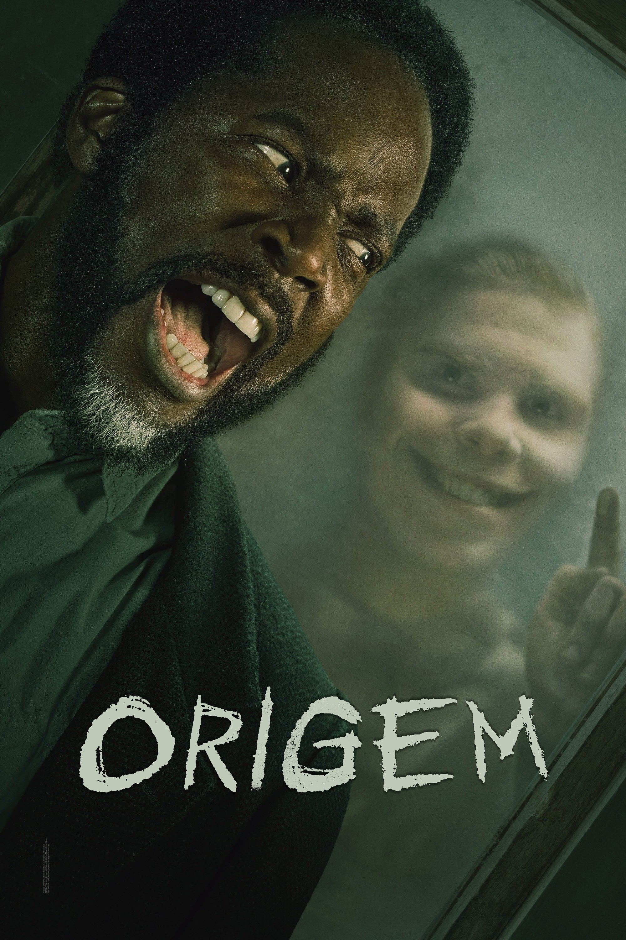 Poster de Origem